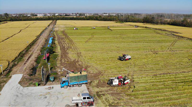 5.1机械收割.png 5.1机械收割.png