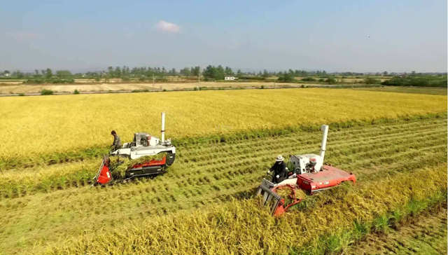 5.机械收割.png 5.机械收割.png