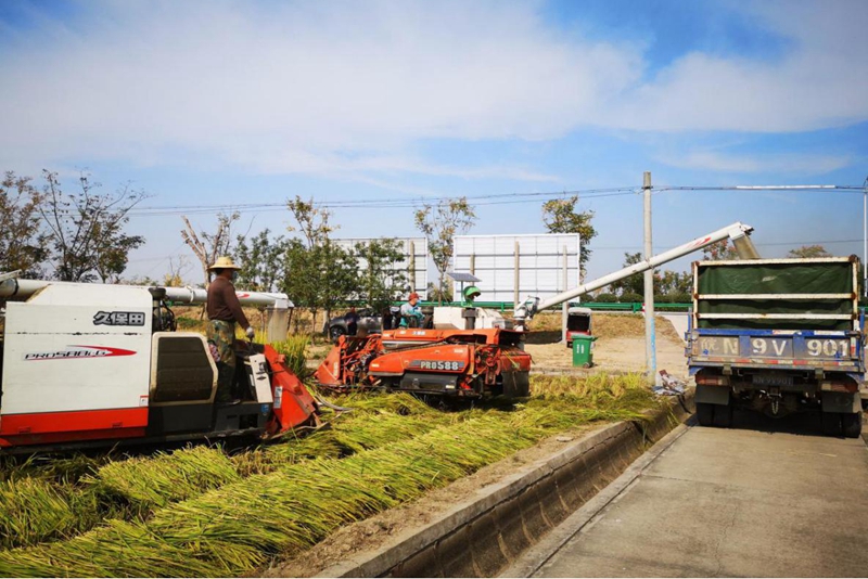 图片3.jpg 图片3.jpg