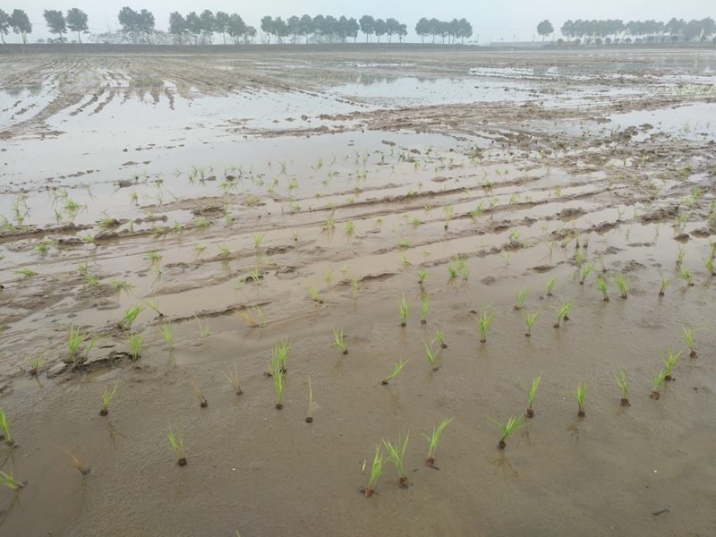 微信图片_20200313091520.jpg 微信图片_20200313091520.jpg