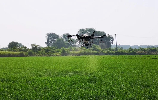 微信图片_20200901102949.jpg 微信图片_20200901102949.jpg