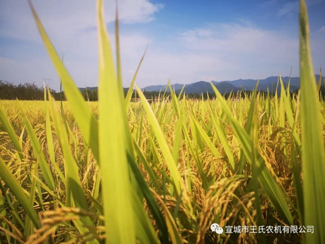 微信图片_20200911082559.jpg 微信图片_20200911082559.jpg