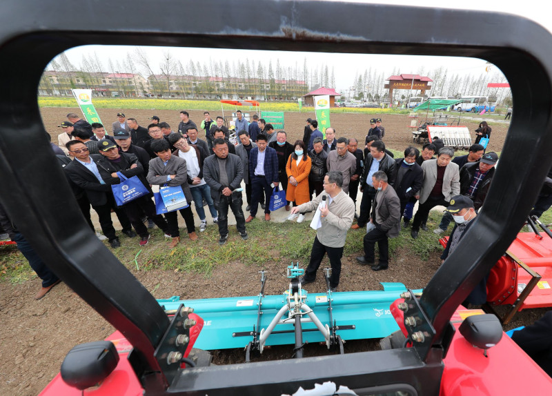 31287236.jpg 31287236.jpg