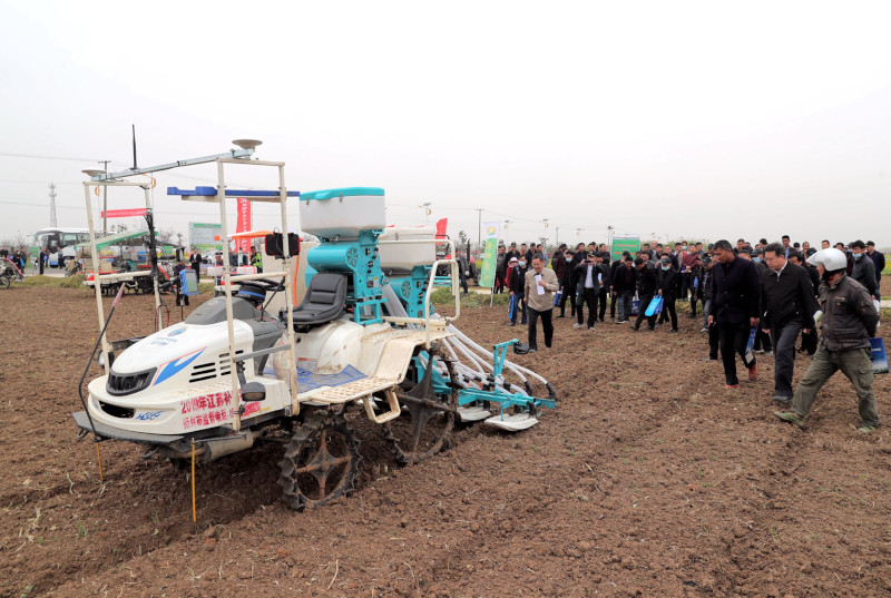 272827729.jpg 272827729.jpg