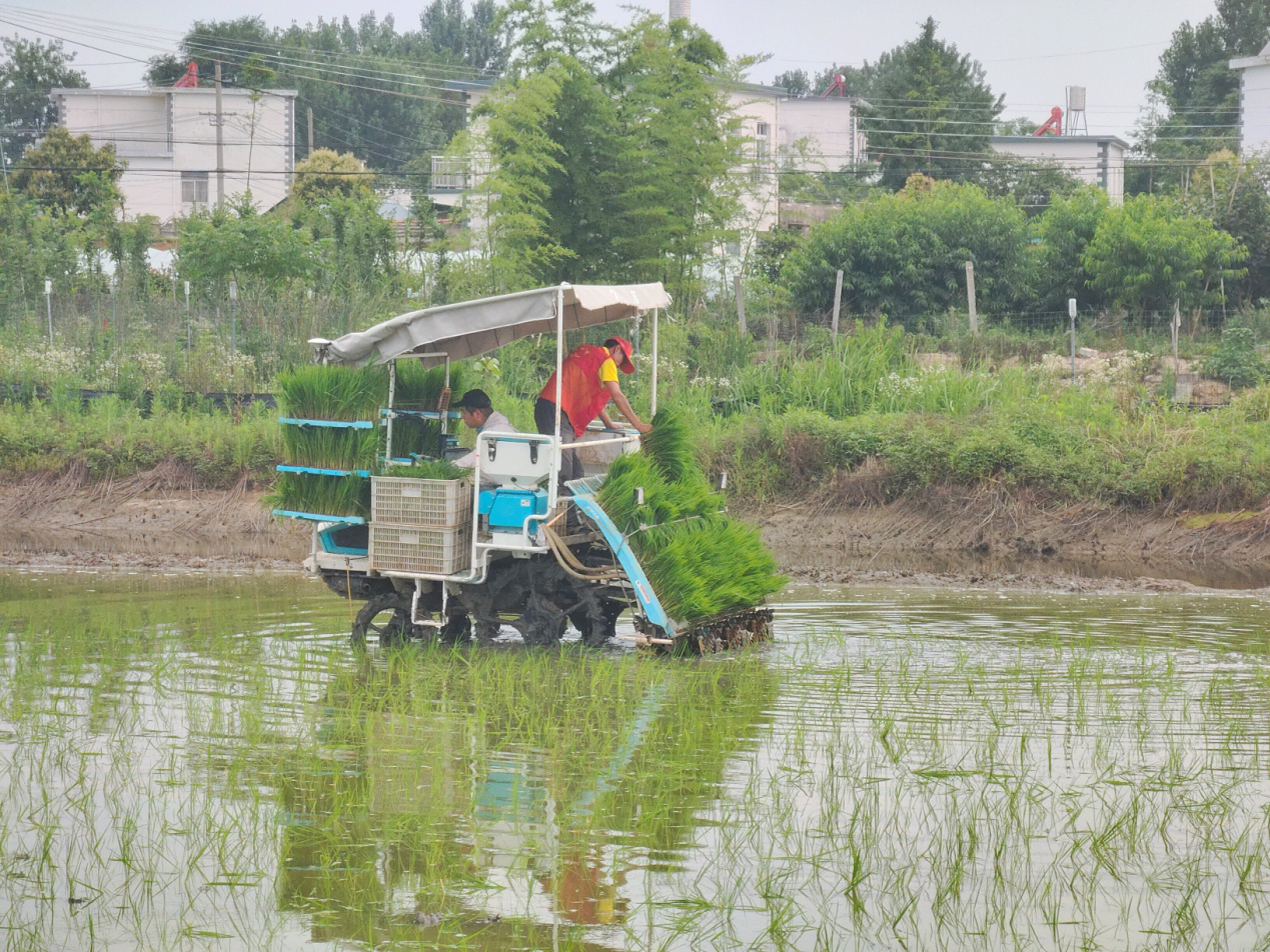 图片2.png 图片2.png